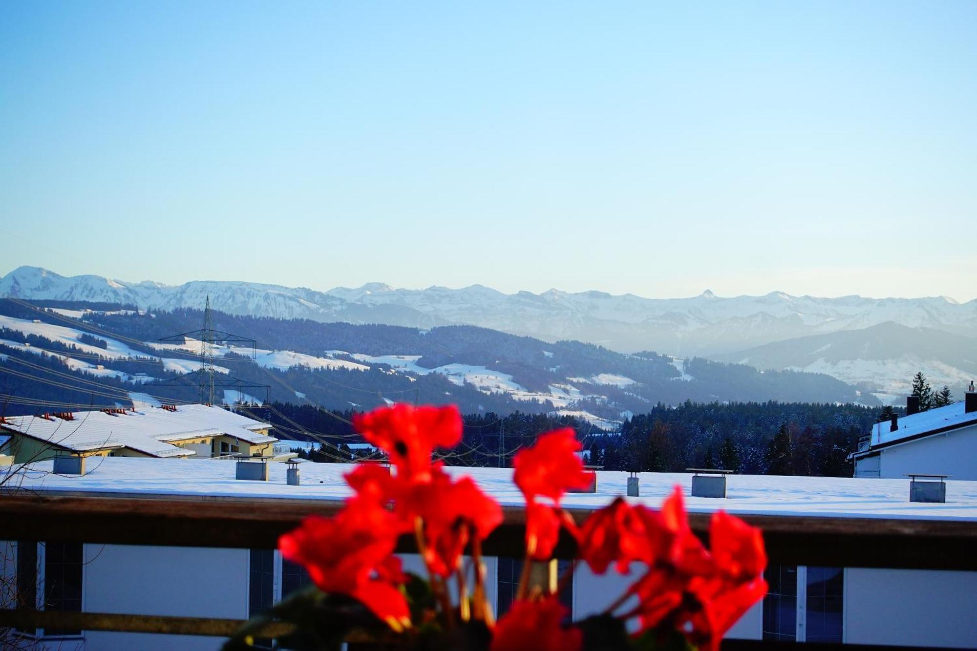 Relax-Red Mit Pool Und Sauna Scheidegg Buitenkant foto