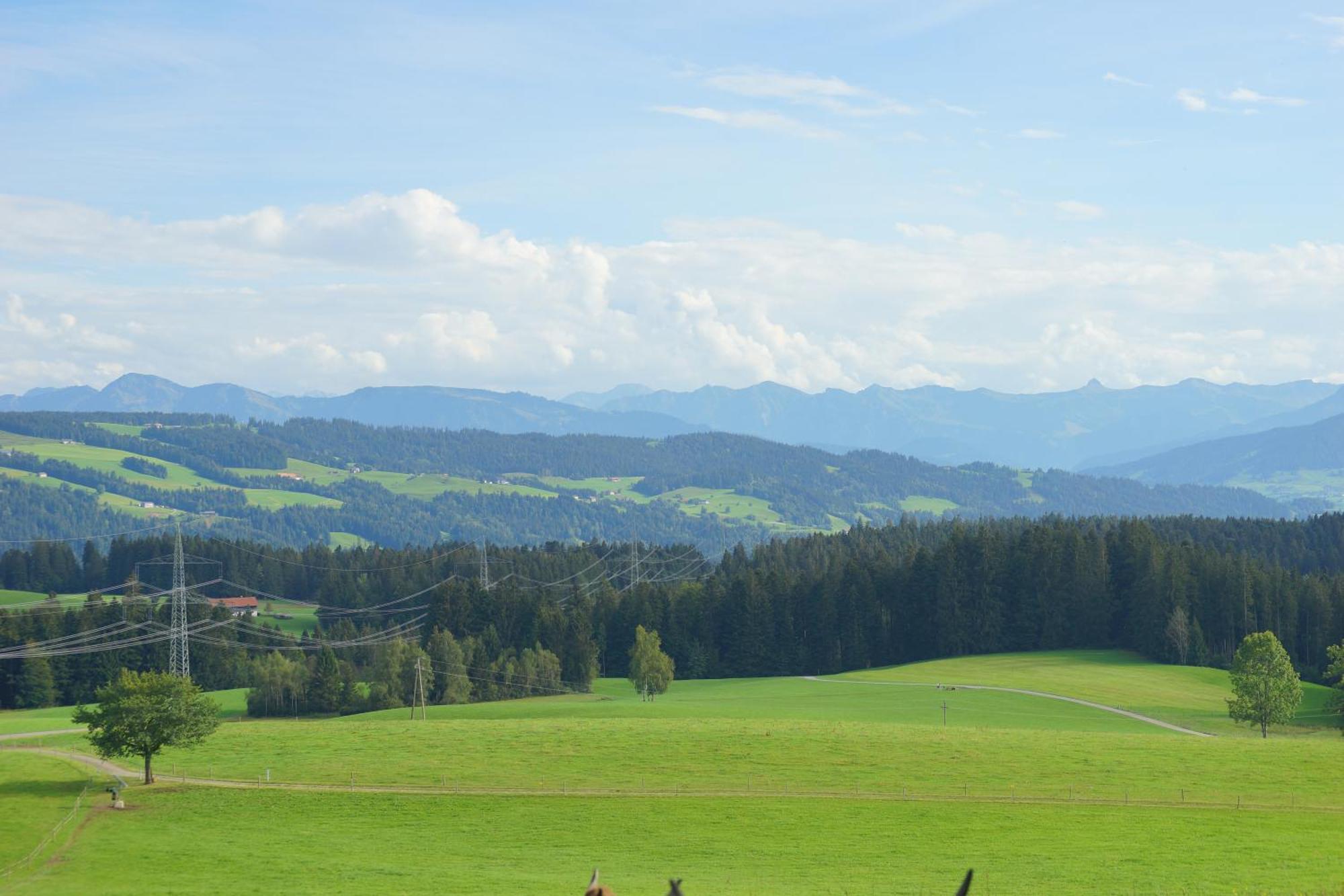 Relax-Red Mit Pool Und Sauna Scheidegg Buitenkant foto